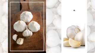 Чесънът: Здраве по 1 скилидка всеки ден