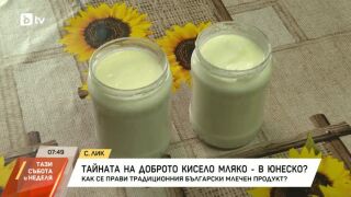 Снимка: Тайната на доброто кисело мляко - в ЮНЕСКО?