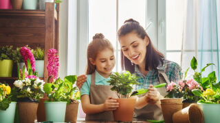 ТОП 5 вътрешни растения, които повдигат настроението (СНИМКИ)