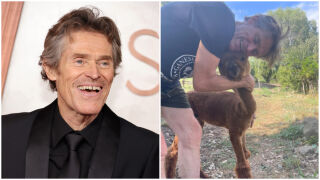 Уилям Дефо напусна Ню Йорк, за да отглежда алпаки в Италия (СНИМКИ)