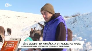 Снимка: Шофьор на линейка, който отглежда магарета