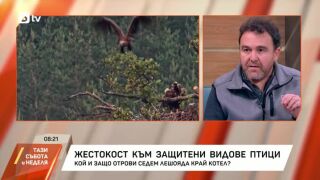 Снимка: Лешоядите стават косвени жертви на човека