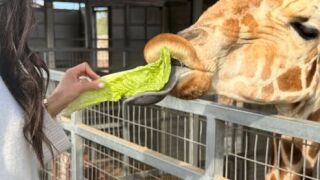 Меган Маркъл отвори вратите на дома си в Калифорния – семейно щастие сред безгрижие и лукс 