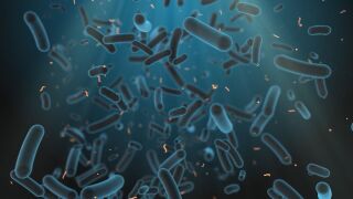 Снимка: Ръст на антибиотичната резистентност у нас: Какъв е отговорът на държавата?