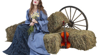 Организатор на оргии и обезчестител  – забравените професии