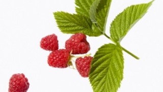 Малините са много полезни