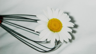 Грижа за кухнята по фън шуй