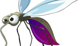 Защо толкова много боли, когато ме сърби?!