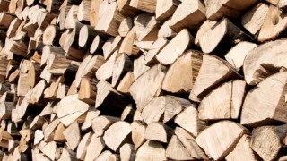 Когато дърварите те бият като тъпан