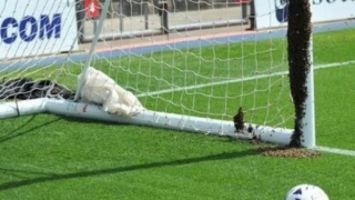 Пчели спряха приятелски мач в Англия