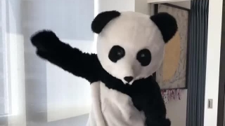 Пандата на Евра празнува титлата с 