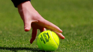 Ястребът Руфъс, ягоди, сметана и други любопитни факти за 