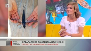По света с Ваня Илиева -  Хепи Ванче: пътешествие в океана