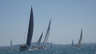 Кор Кароли 2023