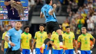 Котешка прокоба тегне над Бразилия (ВИДЕО)