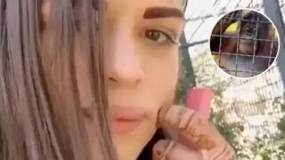 Рускa боксьорка натрови защитен вид орангутан с вейп (ВИДЕО)