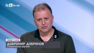 Снимка: Борбата с горските пожари