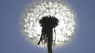 Професии, полезни в ежедневието