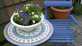 Градината и Градът