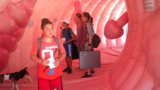 Грижи за дебелото черво