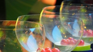 Левски гостува на Литекс, а  ЦСКА приема Созопол за Купата на България