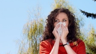 Още за поленовата алергия