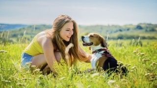 Съвети при ухапване от куче
