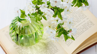 Как да станем в пъти по щастливи само с една... ваза