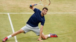 Григор Димитров отново загуби от полски гигант