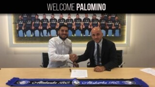 Официално: Паломино в 