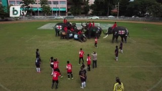 Слончета футболисти (ВИДЕО)