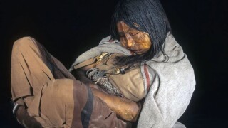 Капитанът, кокаинът и замръзналите мумии