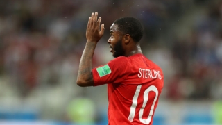 Руски комари тормозят англичаните на Мондиала (ВИДЕО)