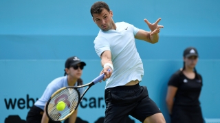 Гришо остава номер 6