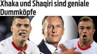 Швейцарският 