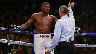 Джошуа не бил със сътресение. Имал ечемик в окото