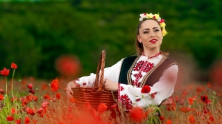 Снимка на деня: Сред маковите полета край Асеновград