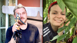 Известните в градината: Нора Шопова обра селската череша, а Миро стана спец в двора си