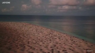 Силата на природата: дрон заснел десетки хиляди морски костенурки до Големия бариерен риф