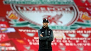 Феновете на 