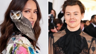 Как веднъж совата на Салма Хайек е повърнала върху Хари Стайлс от „One Direction“