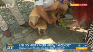 Запознайте се с кучето Ковид Пандемоф