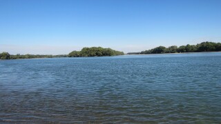 Богата програма за Деня на Дунав