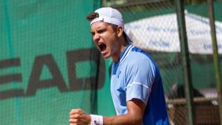 Братовчедът на Гришо мачка на 