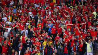 Фен се преби от радост на мача Белгия - Уелс (ВИДЕО)