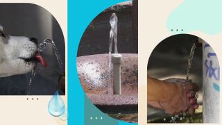 Градски чешми в София – тествани и оценени: Резултатите ще ви изненадат! (ВИДЕО)
