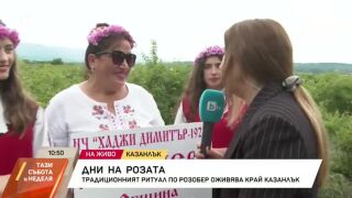 Снимка: Традиционният ритуал по розобер оживява край Казанлък