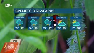 Снимка: Предимно слънчево в неделя