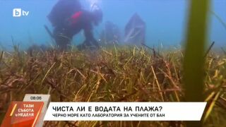 Снимка: Чиста ли е водата на плажа?
