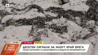 Снимка: Десетки сигнали за мазут край брега